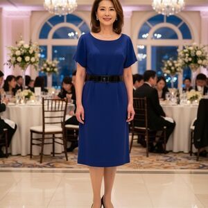 Tahari Arthur S. Levine Dress size 16W